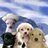 Mona_Yandamai