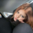 Nikita_Kapilkin