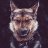 Misha_walker