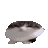 Jesus_Benson