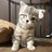 Jennifer_Opium