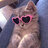 Evans_Borzov