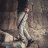 Evgeniy_Lysenin