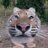Mihail_Goloburdin