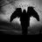 Tomy_Rober