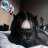 Antu_Fyll