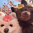 Ambassador_Hasla