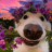 Fedos_Afton