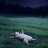 Damir_Ikonov