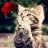 Karina_CRMP