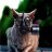 Kevin_Autumn77