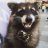 Alexander_Frensis