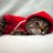 Dmitriiy_Tarasow
