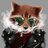 Claudio_Callington