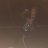 William_Schwammm