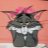 Ernesto_Troyan