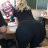 Nikita_Lebedev