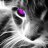 Egor_Mazur