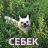 Erik_Quwin