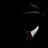 Sasha_Markin