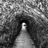 Kirill_Bregz