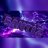 Ararar_Maddison