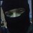 Ernesto_Evans