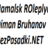 Diman_Buldozerov