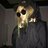 Daniil_Shelby