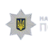 Kosmos_Raymon