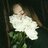Toby_Brown