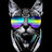 Egor_Vins