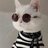 Dmitry_Babinov