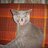 Leonid_Gazarov
