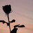 Arthur_Lipezkiy